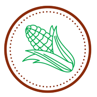 Maize