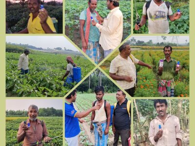 Farmers in Field